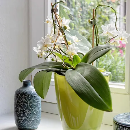 Quarto em Acomodações Particulares An Der Gose - Gaestezimmer &