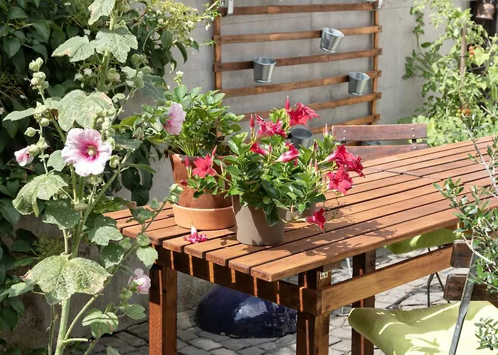 民宿 An Der Gose - Gaestezimmer &