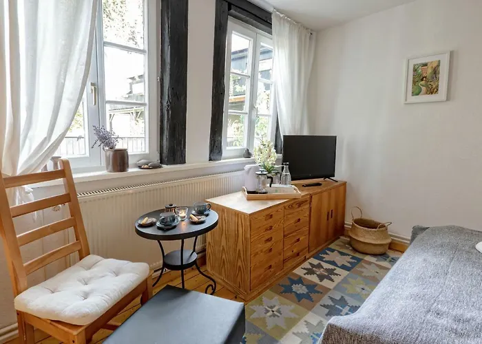 民宿 An Der Gose - Gaestezimmer & 戈斯拉尔