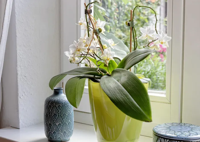 民宿 An Der Gose - Gaestezimmer &